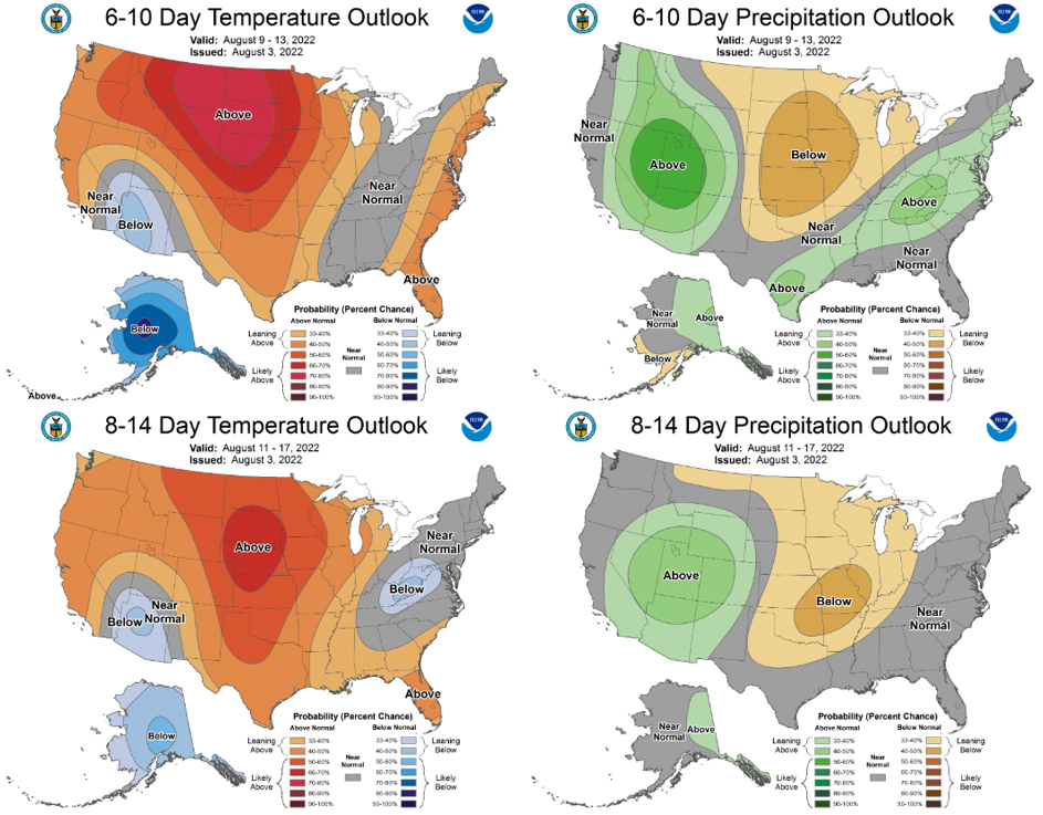 The 6-10 day (Aug. 9-13, top) and 8-14 day (Aug. 11-17, bottom) outlooks for temperature (left) and precipitation (right).